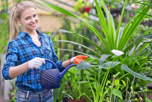 Gardener Finchley team at work in a residential garden