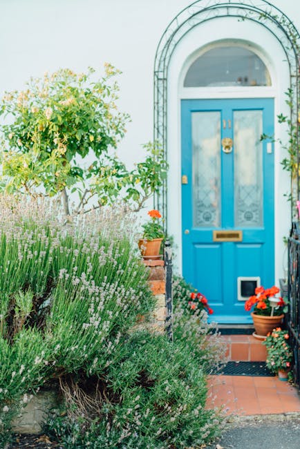 The image depicts a small front garden that has been recently maintained or landscaped, situated outdoors with natural lighting. The layout includes a neatly trimmed grassy lawn bordered by garden bed