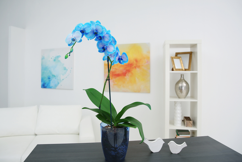 lawn care lawn maintenance